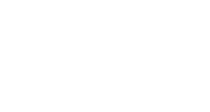 Ford logo